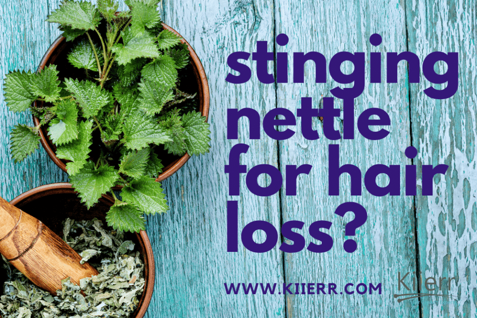Stinging Nettle Root for Hair Loss Updated August 2021
