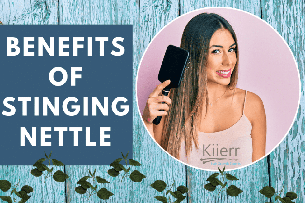 Stinging Nettle Root for Hair Loss Updated August 2021