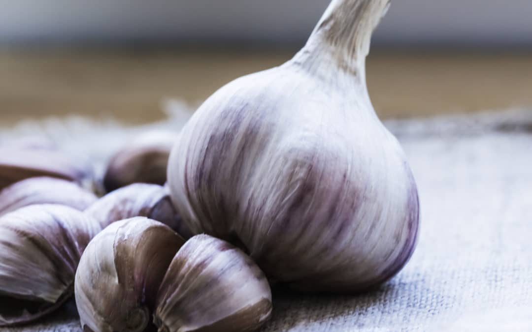 Garlic for Hair Growth Review: Does it Work?