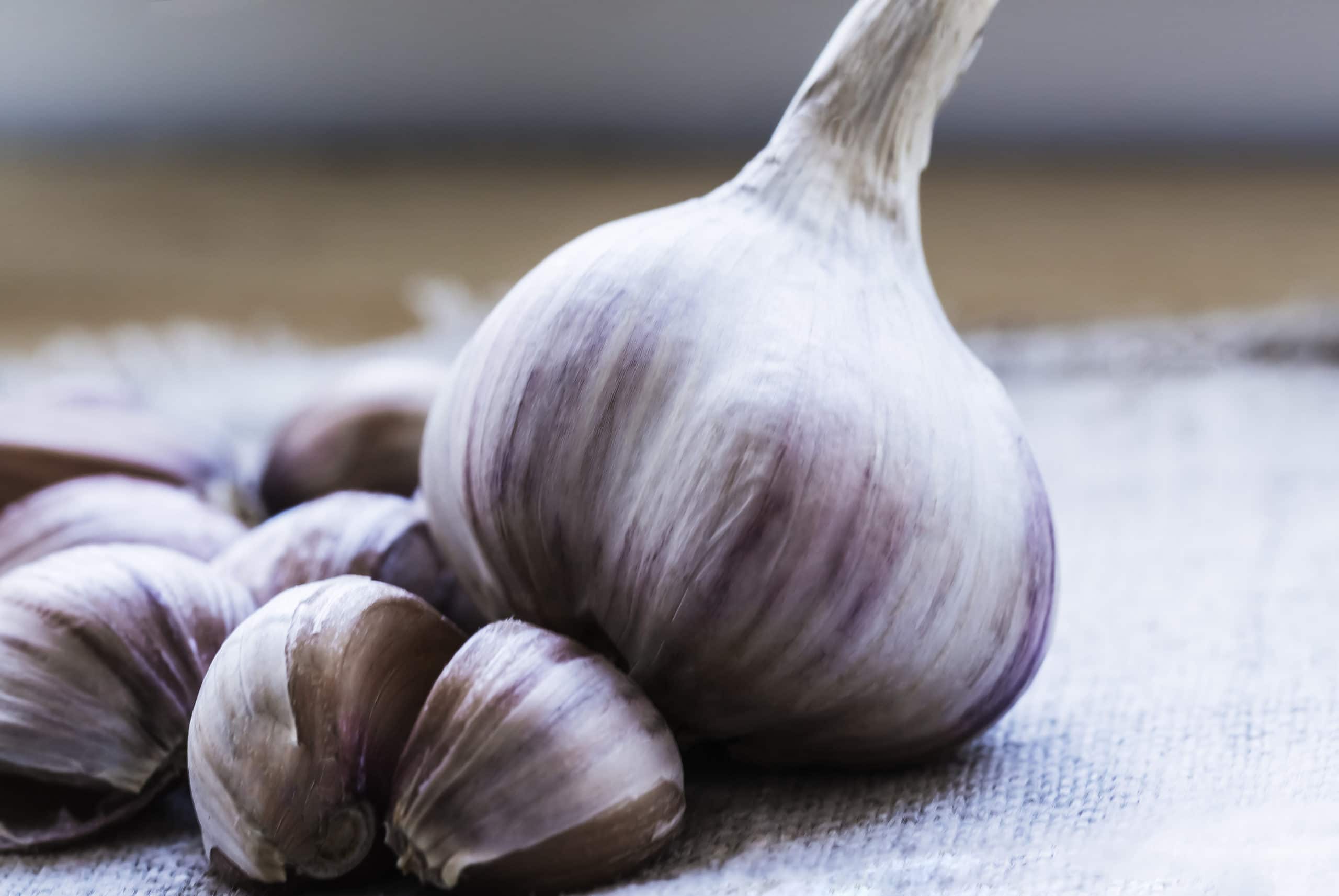 Garlic for Hair Growth Review: Does it Work? - Updated For 2023
