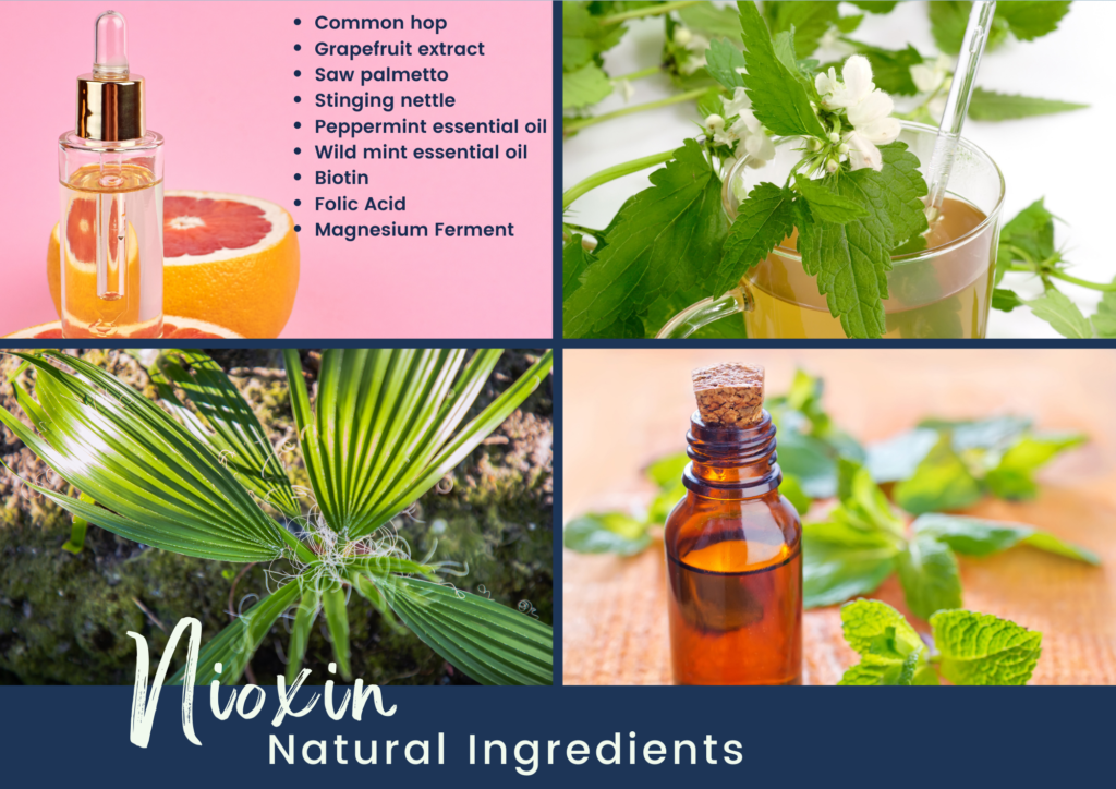 Natural Nioxin Ingredients