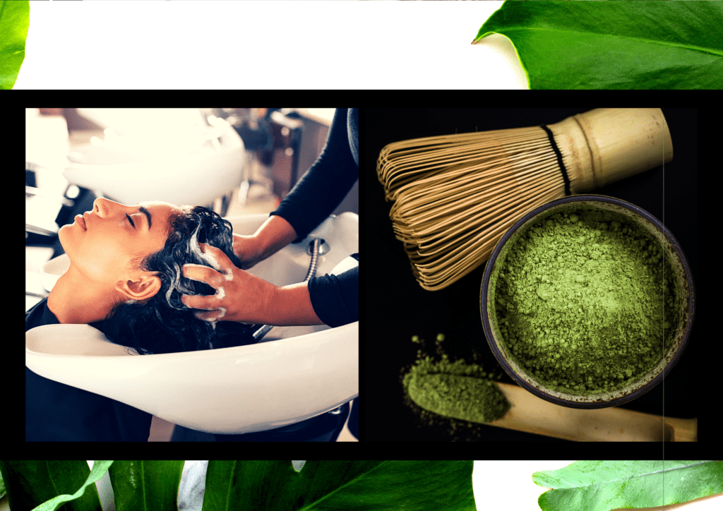 apply green tea topically through hair care products