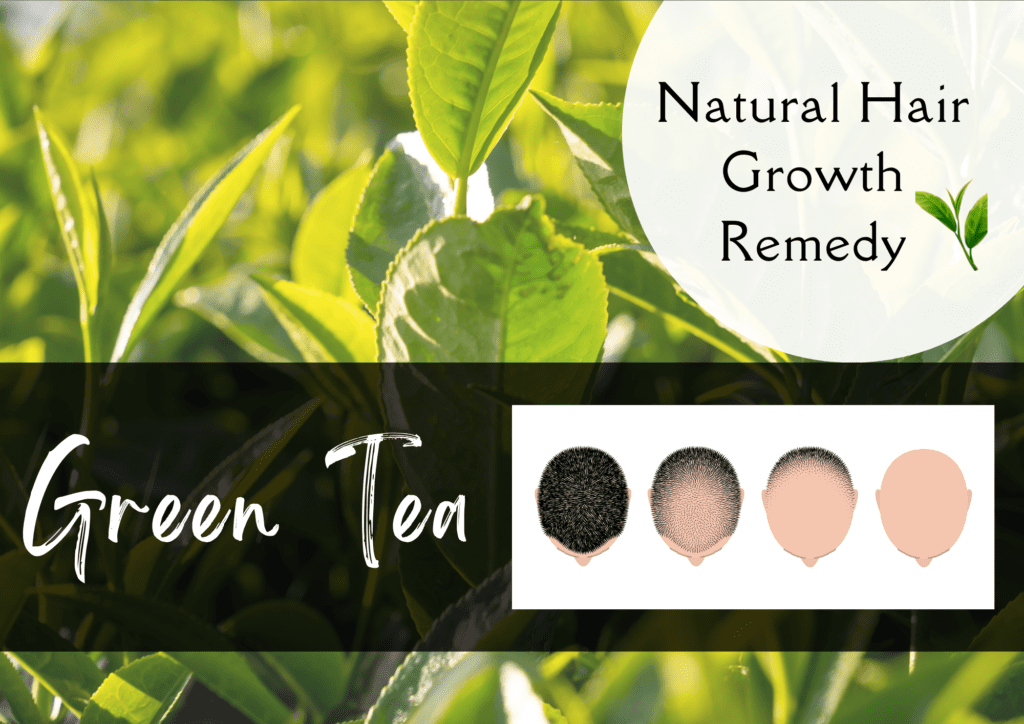 green tea as a natural hair growth remedy