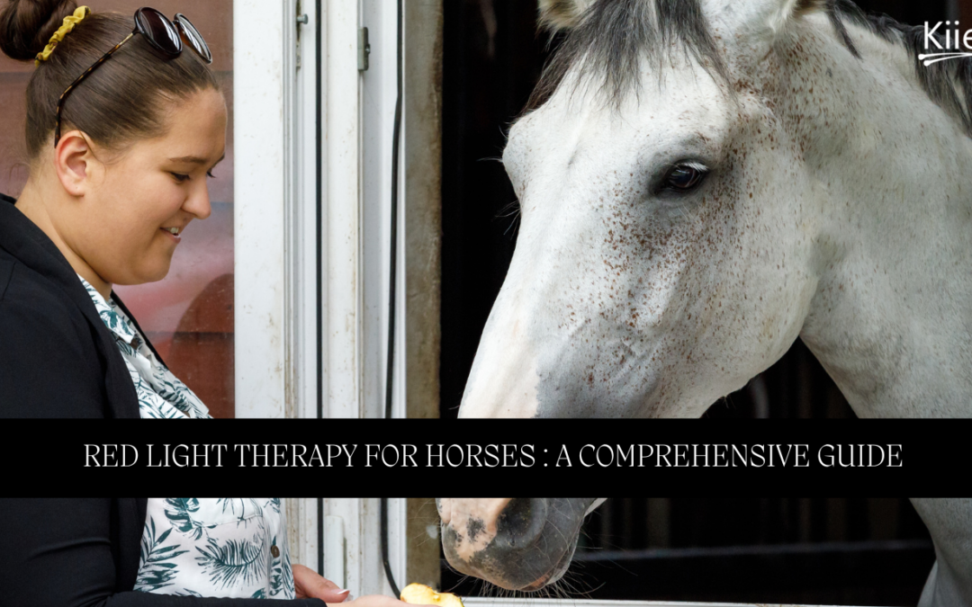 Red Light Therapy for Horses: A Comprehensive Guide